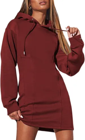 AlvaQ Womens Dresses Fall Winter 2024 Casual Long Sleeve Drawstring Pleated Hoodies Sweatshirt Pullover Tunic Mini Dress