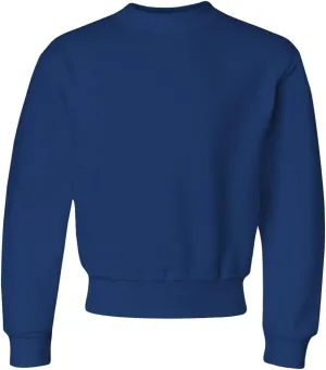 Jerzees boys Fleece Sweatshirts, Hoodies & Sweatpants Shirt, Sweatshirt - Royal Blue, Small US
